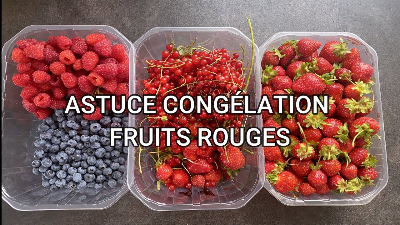 Comment congeler les fruits rouges?