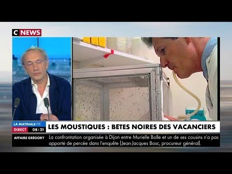 Citronnelle, bracelet anti-moustiques, ultrasons : inutiles contre les moustiques !