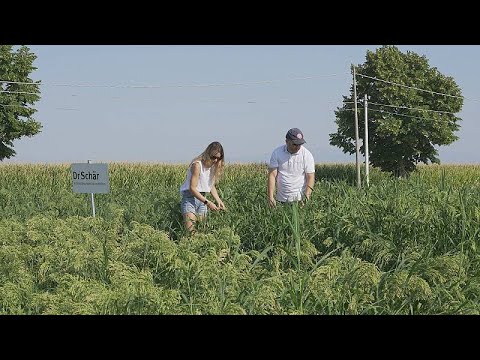 Un siècle de production d'aliments pour les personnes aux besoins nutritionnels spécifiques