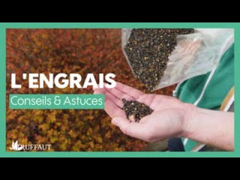 Fertiliser une plante avec un engrais - Truffaut