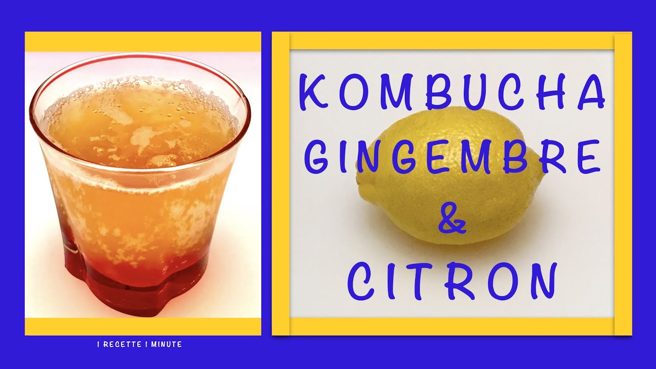 Kombucha Gingembre et Citron / Recette Maison, Boisson Rafraîchissante & Santé